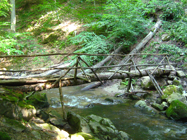 Дървеният мост над реката, водещ до пътечката за водопада.