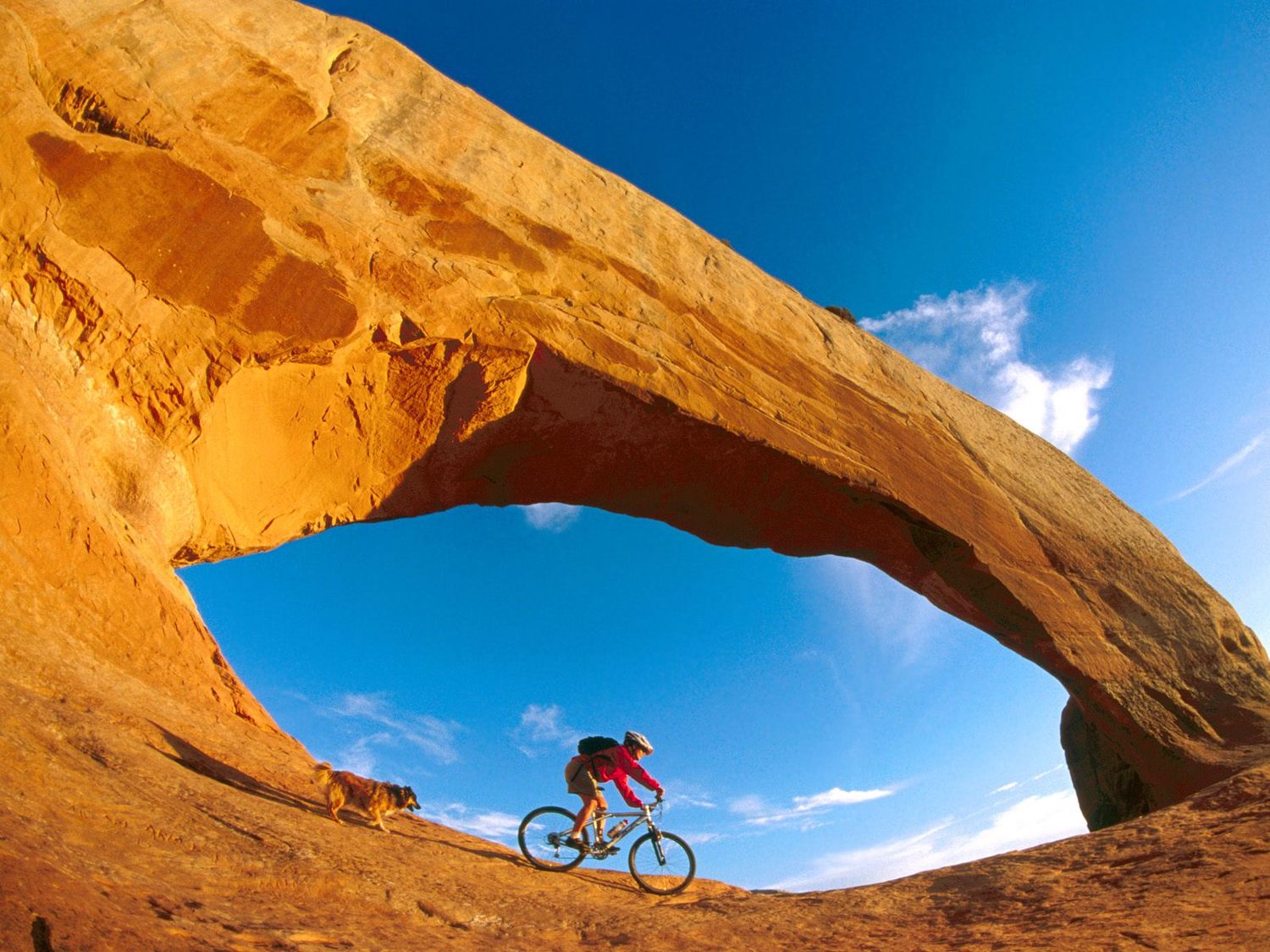 mountain_biking_19