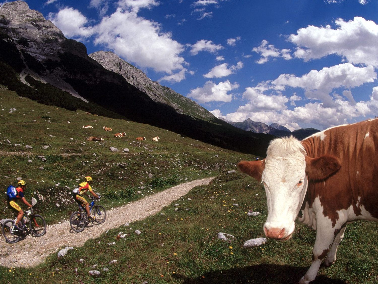 mountain_biking_9