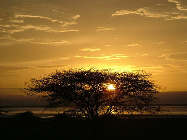 lovely african sunset