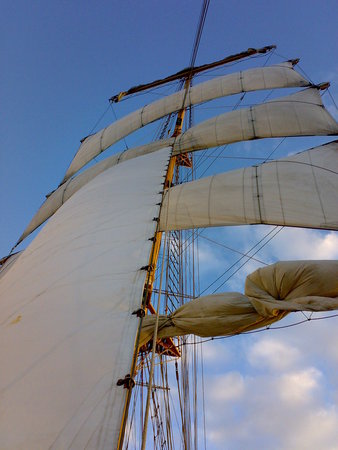 Tall Ships