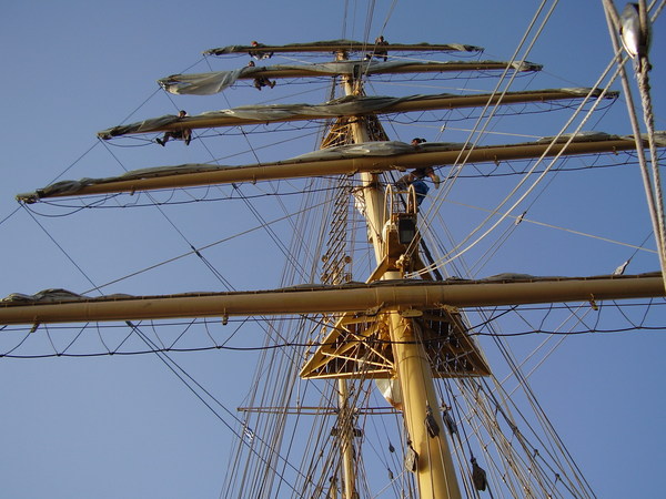 Tall Ships