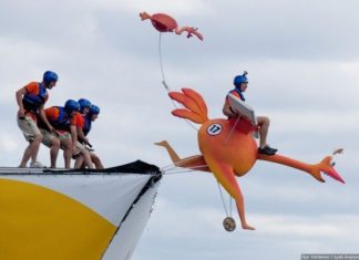 red bull flugtag