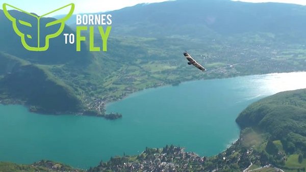 BORNES TO FLY 2013