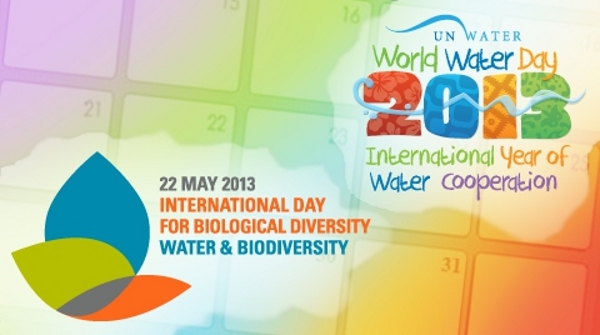 International day biodiversity 2013