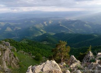 Александър Пенков