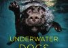 Underwater dogs