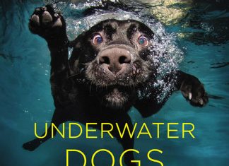 Underwater dogs