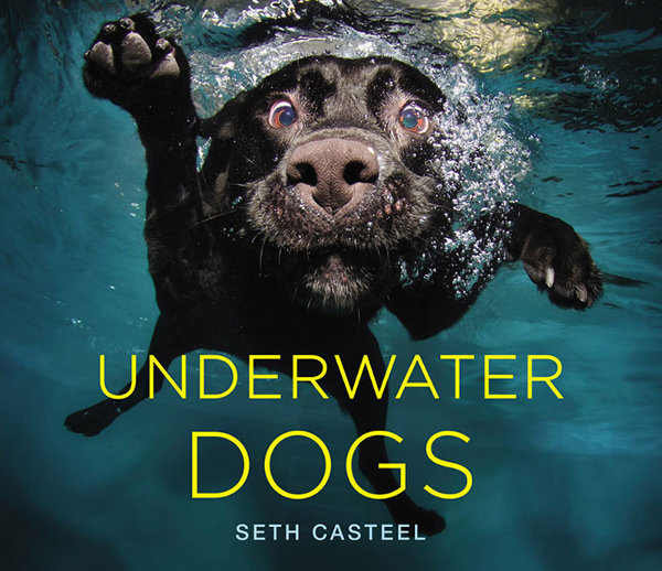 Underwater dogs