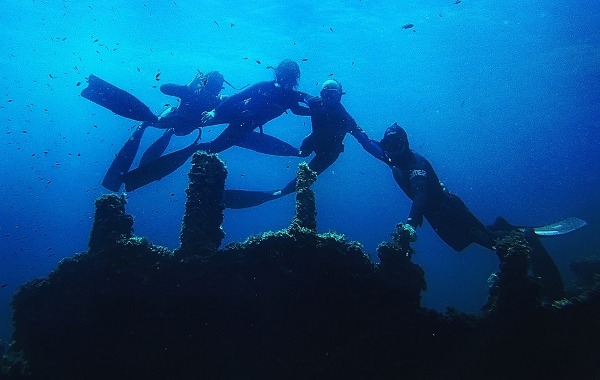 Seanomad Freediving School