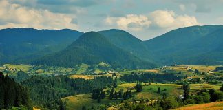 Мая Къркаличева, Гела