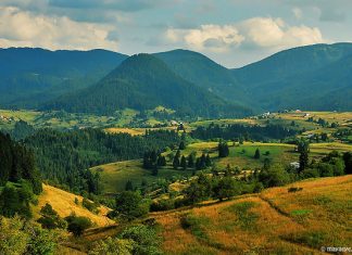 Мая Къркаличева, Гела