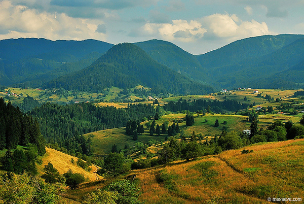 Мая Къркаличева, Гела