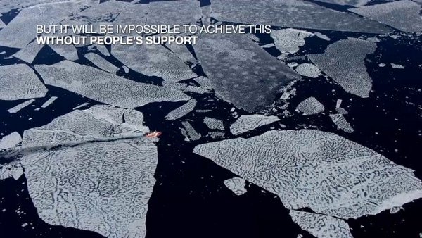 Спаси Арктика
