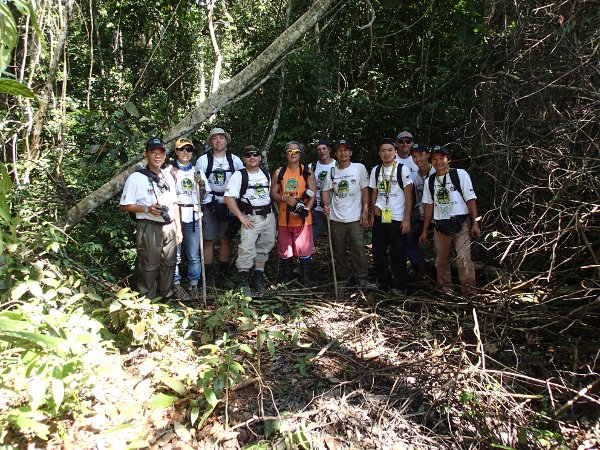Rainforest Challenge