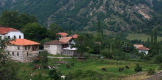 Нека поговорим за пермакултура