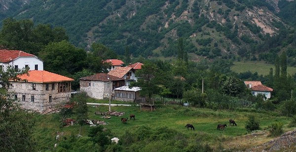 Нека поговорим за пермакултура