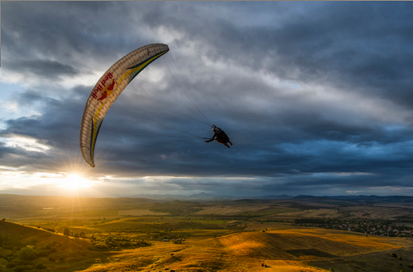 Red Bull Bird’s Eye