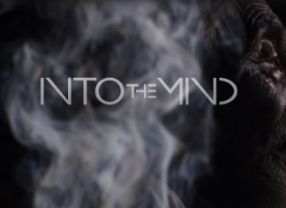 INTO THE MIND