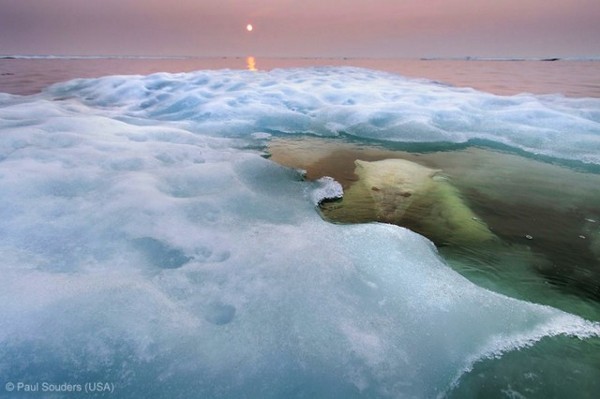 Paul Souders