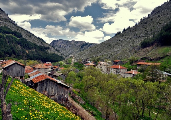 ismena