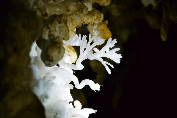 6. Svetlomir Stanchev, Bulgaria - Bialo klonche - Duhla cave, BG