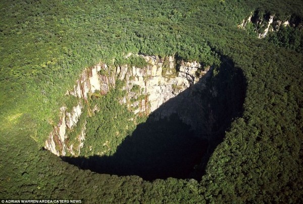 Rainforest sinkhole