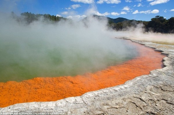 Champagne Pool