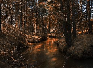 река Планщица