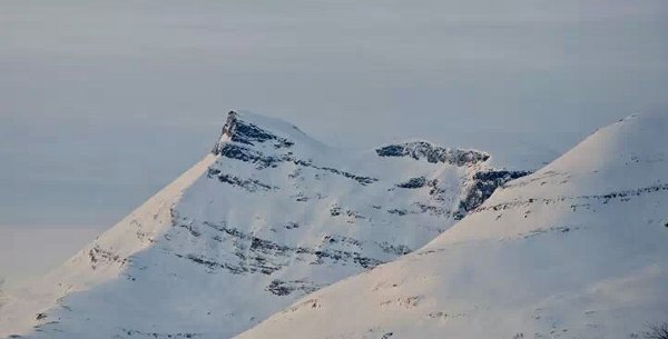 Frostskade