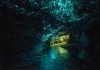 Waitomo Glowworm, Нова Зеландия