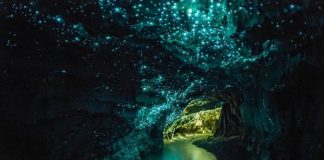 Waitomo Glowworm, Нова Зеландия