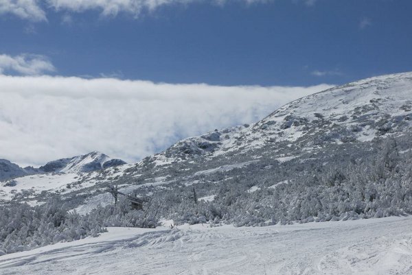 Снимка: Freeride Bulgaria