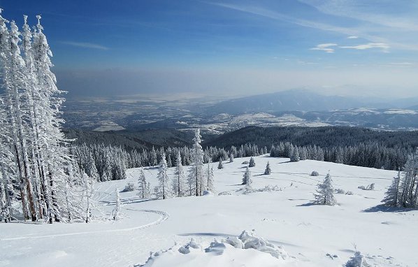 Ангел Попов