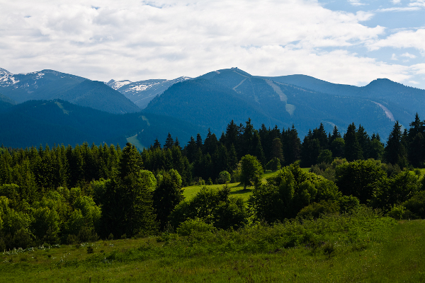 Borovets 