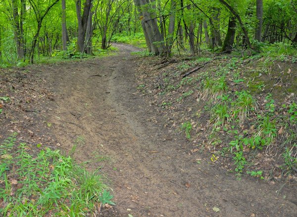 Част от трасето на Enduro Warriors Challenge vol. 2