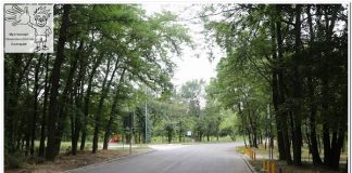 Off-road Duathlon: бягане и колоездене в Пловдив