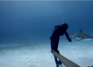 Подводен танц с акулите