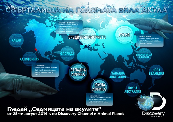 Shark_Week_Infograph_1