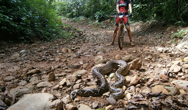 LA RUTA DE LOS CONQUISTADORES