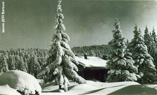 Зима във Витоша, 1961 г. 