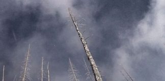 Instagram приключения - Грег Хил