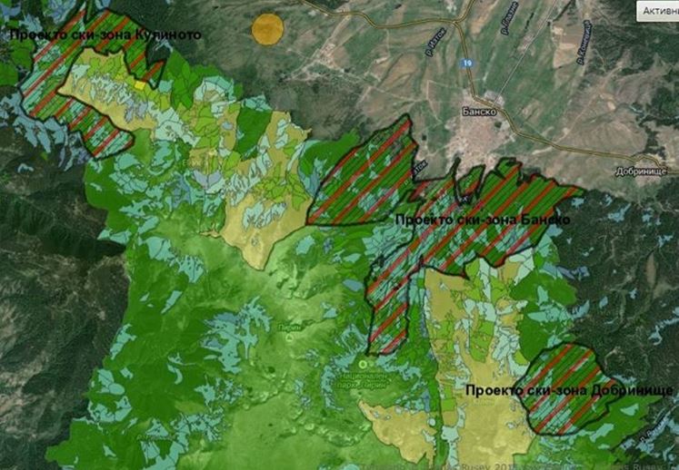 Вековни гори в Пирин, WWF