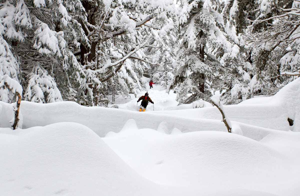 Skiing_Powder