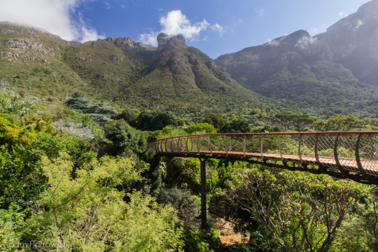 Разходка над гората - Кейптаун