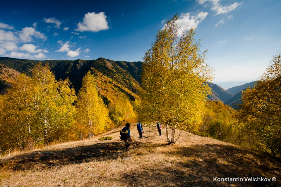 Фотограф: Константин Величков