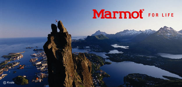 Marmot