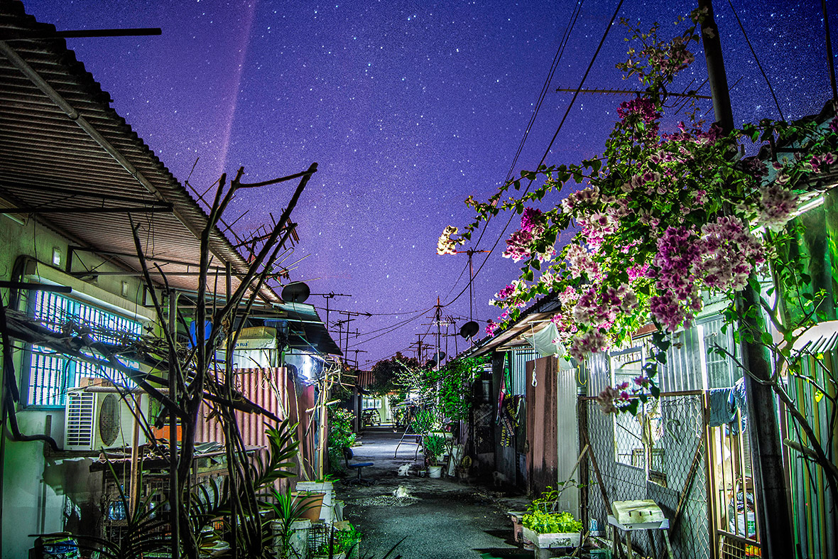 Environment - Yong Lin Tan, Malaysia (age 19)