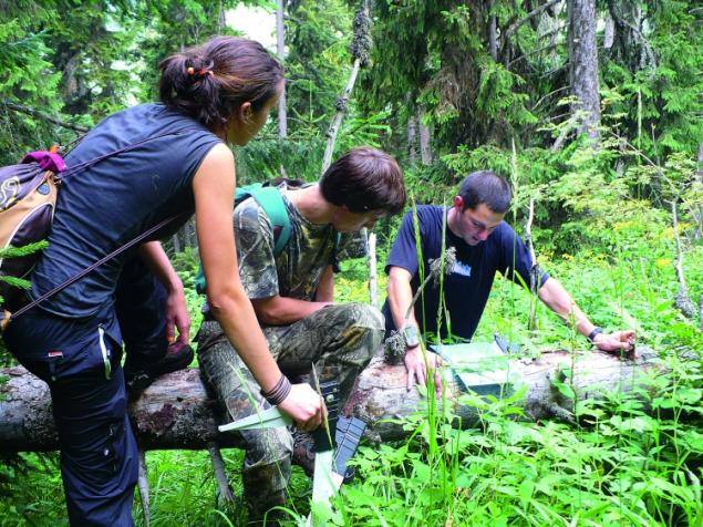 Кино, Витоша и приказки