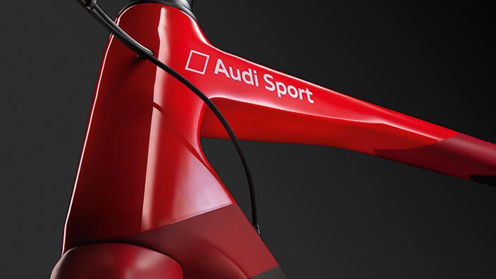 Audi Sport Racing Bike